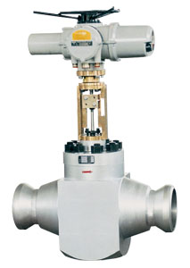 Manufacturer of main water supply control valve