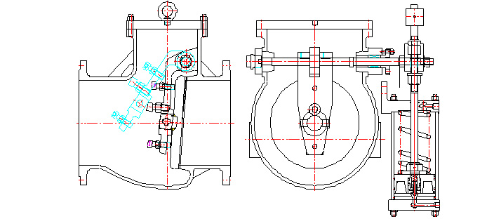 Extraction check valve