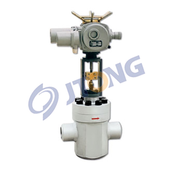 Circulating control valve for feedwater pump